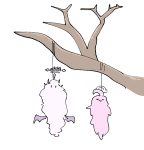 50公斤的希望的头像-老婶的菜单