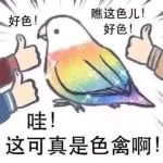 fulldrive-老婶的菜单