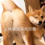 老婶酱的头像-老婶的菜单