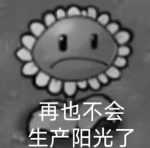 lslbw-老婶的菜单