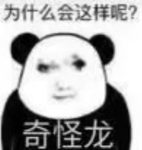 Allocen-老婶的菜单