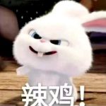 hzts-老婶的菜单