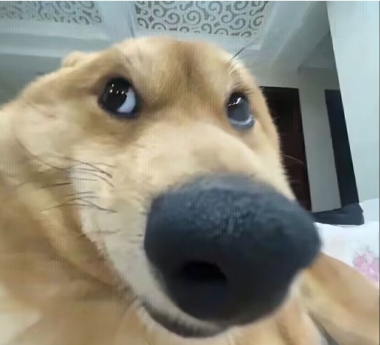 用户封面