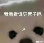 酚奇-老婶的菜单