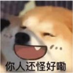 空城k初心-老婶的菜单