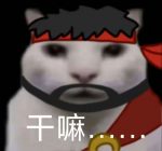 蒸鱼的头像-老婶的菜单